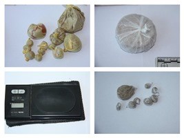 Slika PU_SD/heroin 1501 za web.jpg